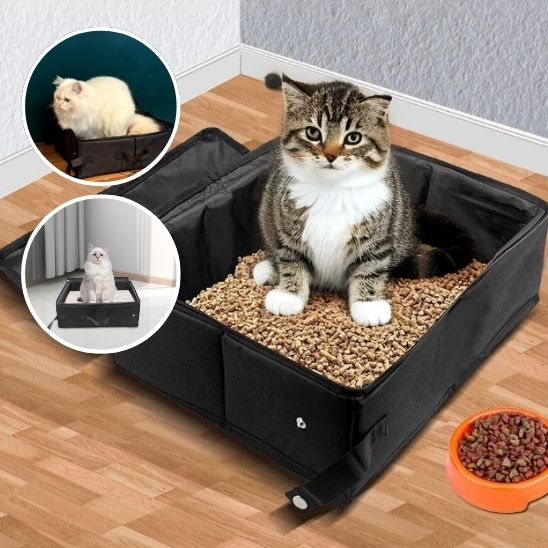 bac litiere chat confortable