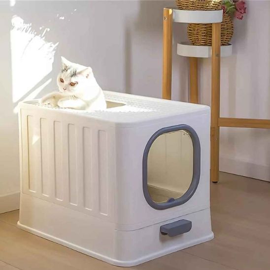 bac litiere chat sorti