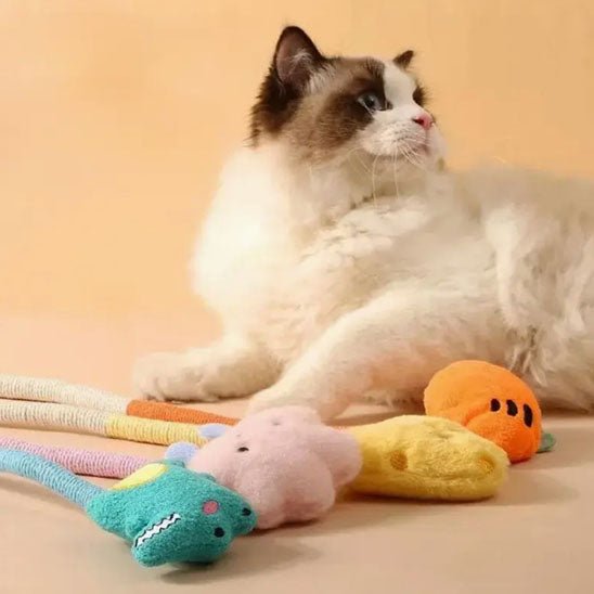 chat fier jouet pour chat
