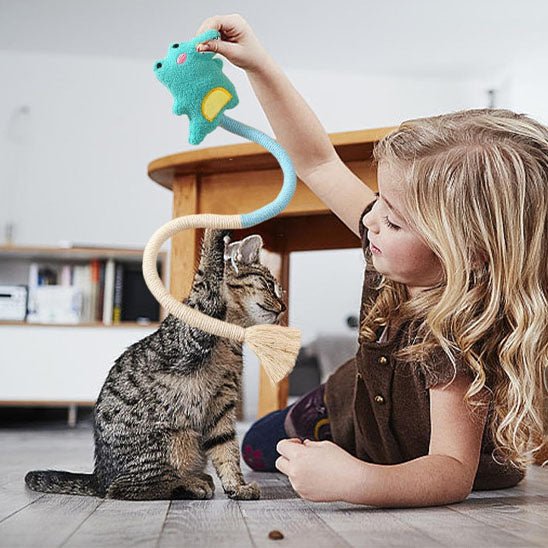 fille joue jouet pour chat