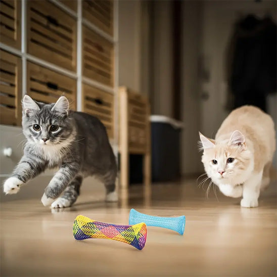 jouet chat deux chat joue