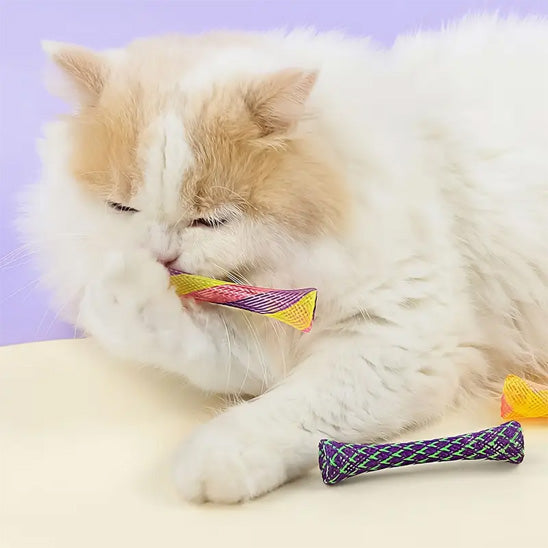 jouet chat mort tube