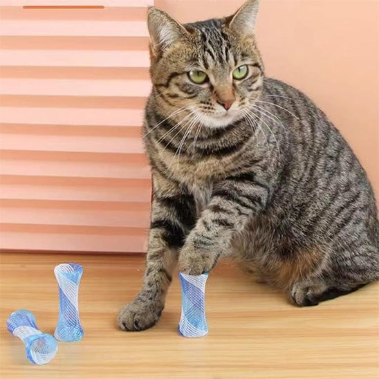 jouet chat tube bleu