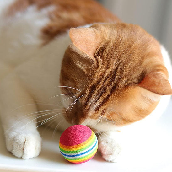 jouet pour chat balle mousse