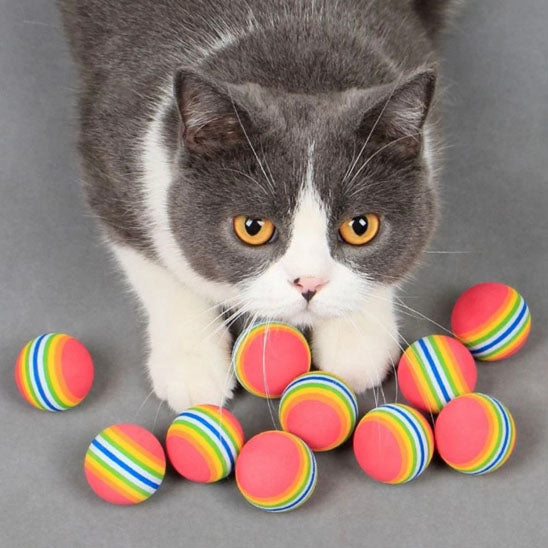 jouet pour chat dix balles