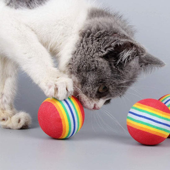 jouet pour chat joue balle