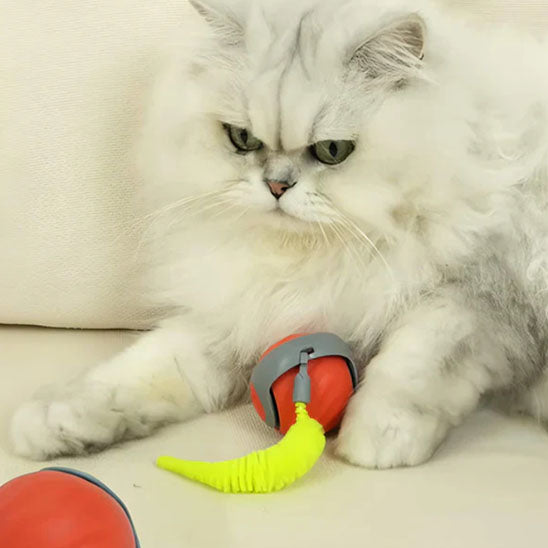 jouets interactifs pour chat balle orange