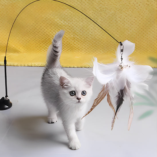 jouets interactifs pour chat blanc joue