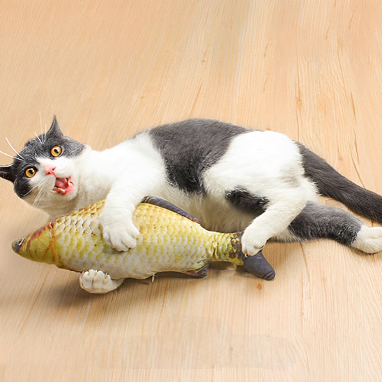 jouets interactifs pour chat joue avec poisson