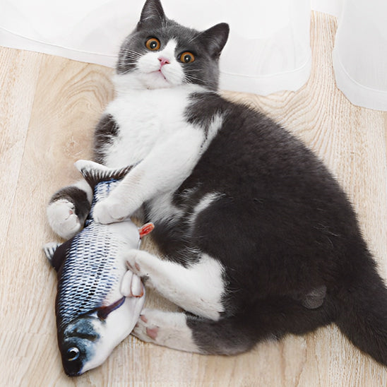 jouets interactifs pour chat truite grise