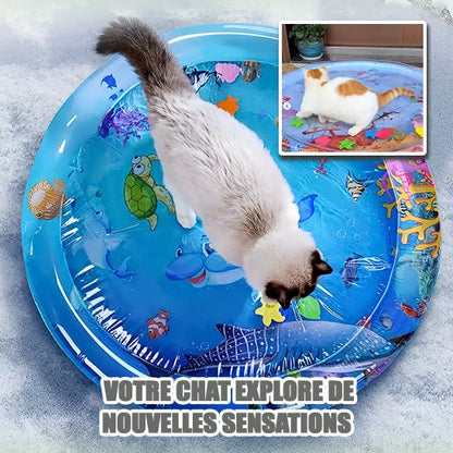AquaPaws™ - Les trésors félins