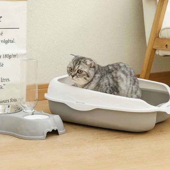 bac litiere chat durable