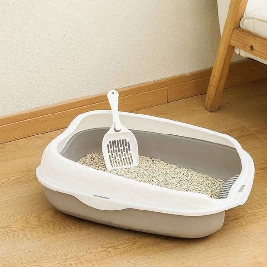 bac litiere chat simplet