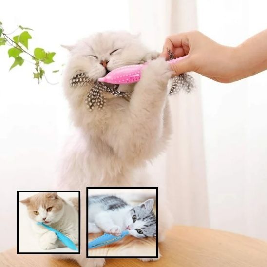 brosse les dents jouet pour chat