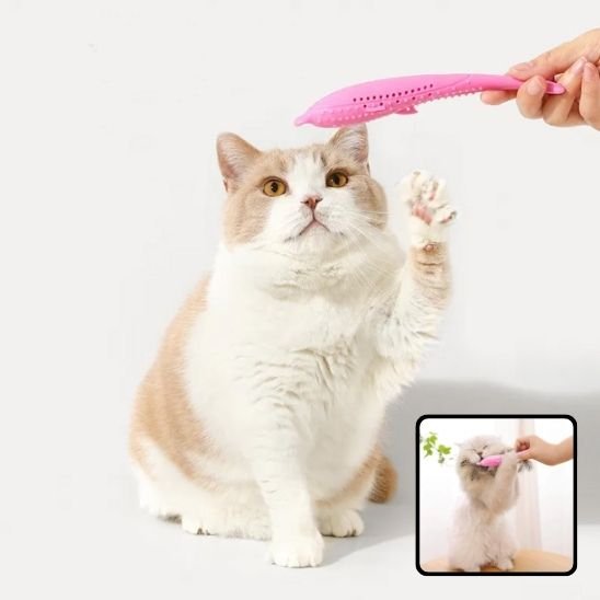 chat attrape jouet pour chat