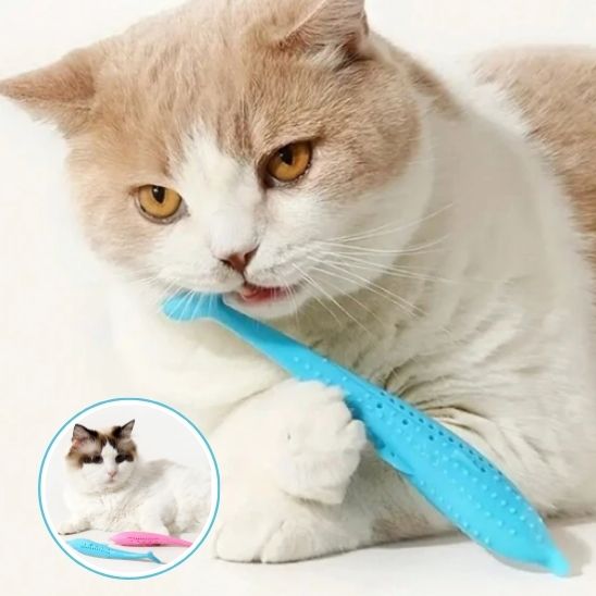 chat tient jouet pour chat