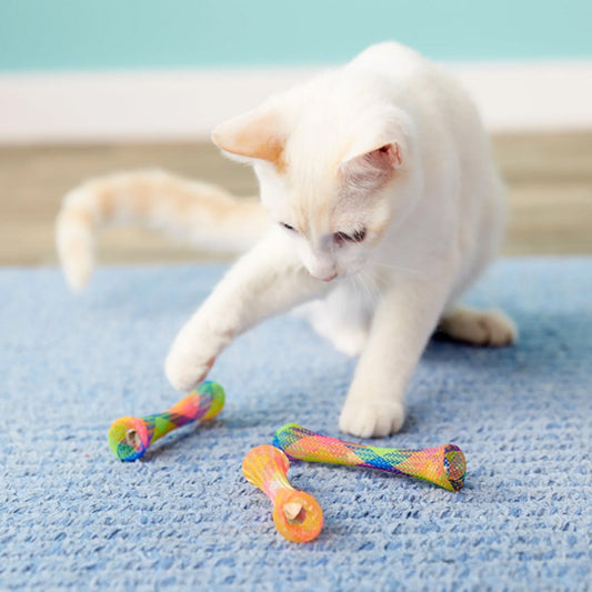 jouet chat chat blanc joue