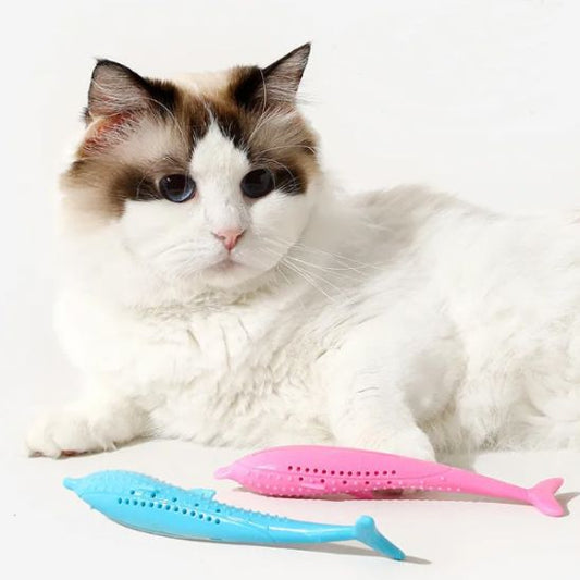 jouet pour chat regarde dauphin