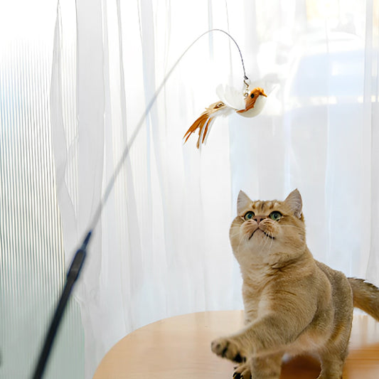 jouets interactifs pour chat baguette main libre