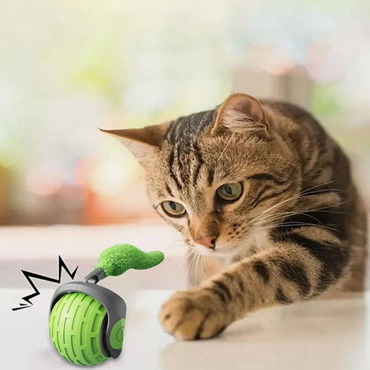 jouets interactifs pour chat balle verte