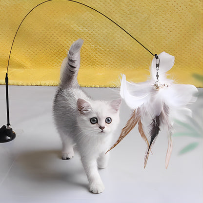 jouets interactifs pour chat blanc joue