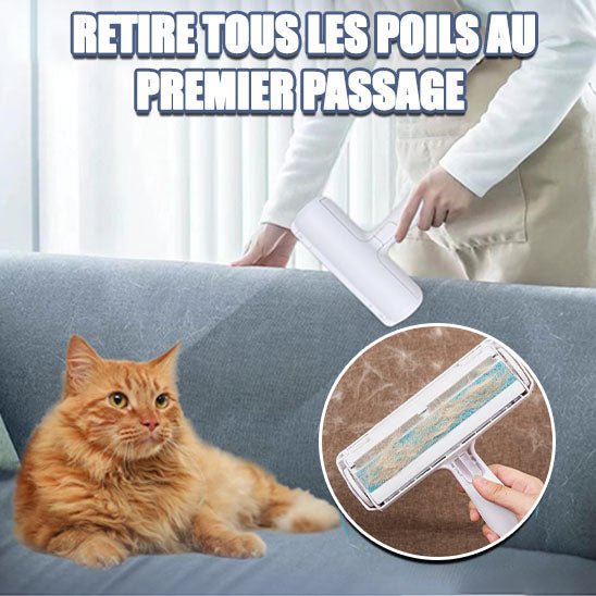 PoilZapper™ - Brosse poils de chat - Les trésors félins