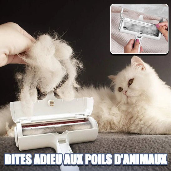 PoilZapper™ - Brosse poils de chat - Les trésors félins